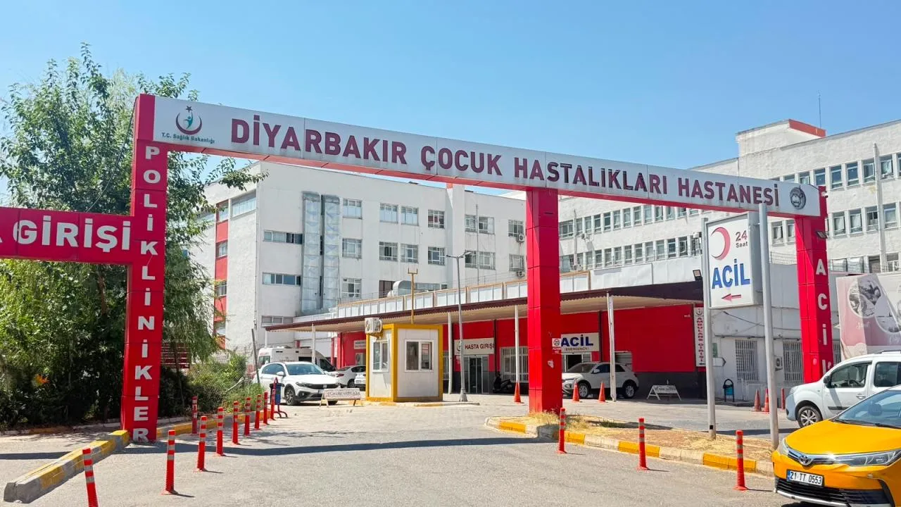 Kedinin Tırmaladığı Çocukta Kuduz Tespit Edildi! Sur'da Alarm